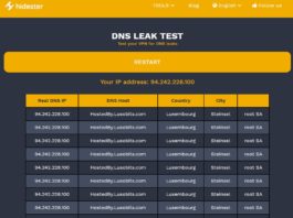Как пройти тест DNS Leak? DNS Leak Test