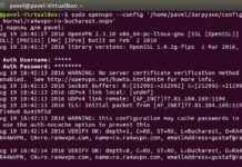 Как настроить RA4W VPN в консоле Ubuntu Linux? RA4W VPN Ubuntu Linux Console OpenVPN