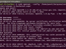Как настроить RA4W VPN в консоле Ubuntu Linux? RA4W VPN Ubuntu Linux Console OpenVPN