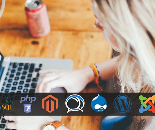 Пожизненная подписка Arch Hosting + 1 домен на год за $25 Arch Hosting Lifetime Subscriptions